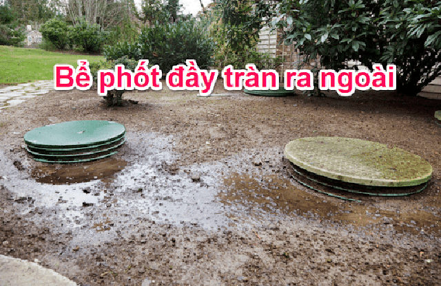 Bể phốt bị đầy tràn là dấu hiệu cần hút hầm cầu